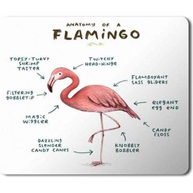 Art Hediye Flamingo Anatomisi Flamingo Anatomy Baskılı 23x19 cm Mouse Pad