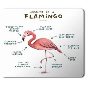 Art Hediye Flamingo Anatomisi Flamingo Anatomy Baskılı 23x19 cm Mouse Pad