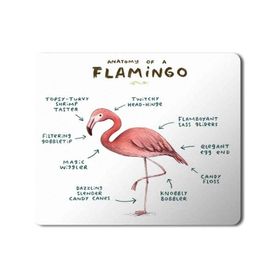 Art Hediye Flamingo Anatomisi Flamingo Anatomy Baskılı 23x19 cm Mouse Pad