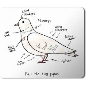 Art Hediye Güvercin Anatomi Baskılı 23x19 cm Mouse Pad