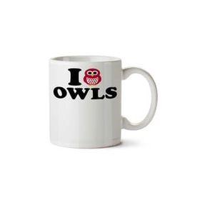 Art Hediye I Love Owls Baykuş İki Tarafı Baskılı Kupa
