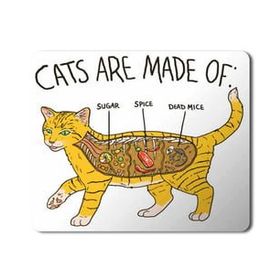 Art Hediye Kedi Anatomi Cat Anatomy Baskılı 23x19 cm Mouse Pad