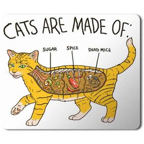 Art Hediye Kedi Anatomi Cat Anatomy Baskılı 23x19 cm Mouse Pad
