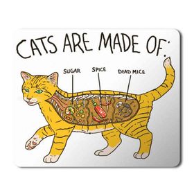 Art Hediye Kedi Anatomi Cat Anatomy Baskılı 23x19 cm Mouse Pad