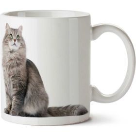 Art Hediye Kedi Sevimli Kedi Cat İki Tarafı Baskılı Kupa Bardak