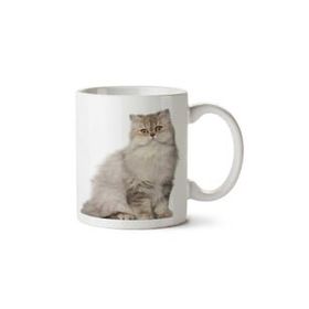 Art Hediye Kedi Sevimli Kedi Cat İki Tarafı Baskılı Kupa Bardak