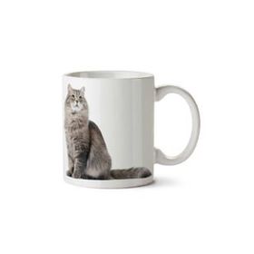 Art Hediye Kedi Sevimli Kedi Cat İki Tarafı Baskılı Kupa Bardak