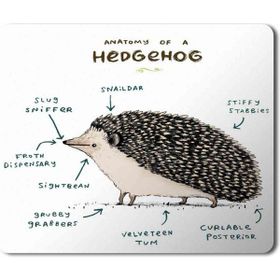 Art Hediye Kirpi Anatomisi Hedgehog Anatomy Baskılı 23x19 cm Mouse Pad