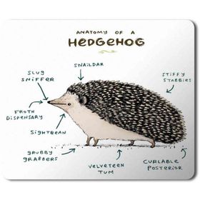Art Hediye Kirpi Anatomisi Hedgehog Anatomy Baskılı 23x19 cm Mouse Pad