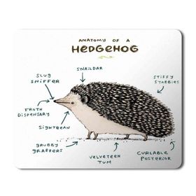 Art Hediye Kirpi Anatomisi Hedgehog Anatomy Baskılı 23x19 cm Mouse Pad