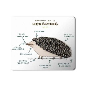 Art Hediye Kirpi Anatomisi Hedgehog Anatomy Baskılı 23x19 cm Mouse Pad