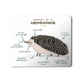 Art Hediye Kirpi Anatomisi Hedgehog Anatomy Baskılı 23x19 cm Mouse Pad