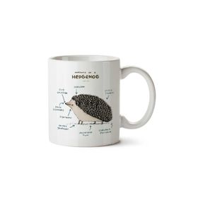Art Hediye Kirpi Anatomisi Hedgehog Anatomy iki Tarafı Baskılı Kupa Bardak