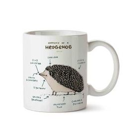 Art Hediye Kirpi Anatomisi Hedgehog Anatomy iki Tarafı Baskılı Kupa Bardak