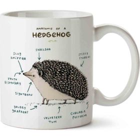 Art Hediye Kirpi Anatomisi Hedgehog Anatomy Kupa Bardak