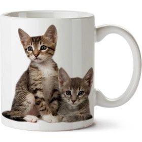 Art Hediye Kitten Kediler İki Tarafı Baskılı Kupa Bardak