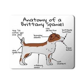 Art Hediye Köpek Anatomisi Brittany Spaniel Anatomy Baskılı 23x19 cm Mouse Pad