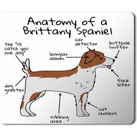 Art Hediye Köpek Anatomisi Brittany Spaniel Anatomy Baskılı 23x19 cm Mouse Pad