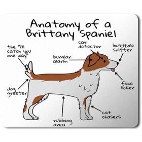 Art Hediye Köpek Anatomisi Brittany Spaniel Anatomy Baskılı 23x19 cm Mouse Pad