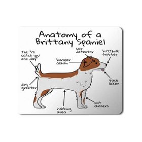 Art Hediye Köpek Anatomisi Brittany Spaniel Anatomy Baskılı 23x19 cm Mouse Pad