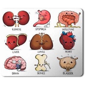 Art Hediye Organlar Vücut Organları Kalp Beyin Kemik Böbrek Baskılı 23x19 cm Mouse Pad