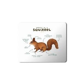 Art Hediye Sincap Anatomisi Squirrel Anatomy Baskılı 23x19 cm Mouse Pad