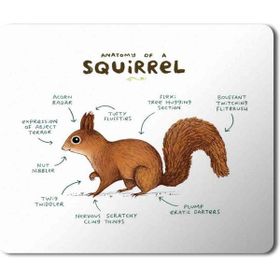 Art Hediye Sincap Anatomisi Squirrel Anatomy Baskılı 23x19 cm Mouse Pad