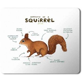 Art Hediye Sincap Anatomisi Squirrel Anatomy Baskılı 23x19 cm Mouse Pad