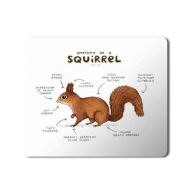 Art Hediye Sincap Anatomisi Squirrel Anatomy Baskılı 23x19 cm Mouse Pad
