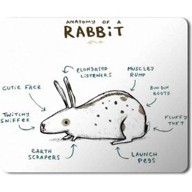 Art Hediye Tavşan Anatomisi Anatomy of a Rabbit Baskılı 23x19 cm Mouse Pad