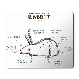 Art Hediye Tavşan Anatomisi Anatomy of a Rabbit Baskılı 23x19 cm Mouse Pad