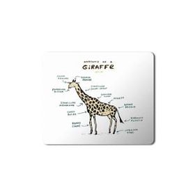 Art Hediye Zürafa Anatomi Giraffe Anatomy Baskılı 23x19 cm Mouse Pad