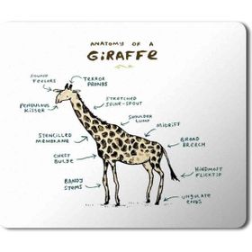 Art Hediye Zürafa Anatomi Giraffe Anatomy Baskılı 23x19 cm Mouse Pad