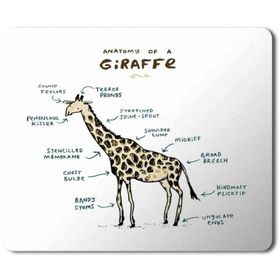 Art Hediye Zürafa Anatomi Giraffe Anatomy Baskılı 23x19 cm Mouse Pad
