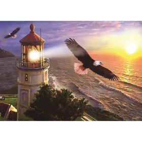 Art Puzzle 1000 Parça Gündoğumunda Yüksek Uçuş Puzzle