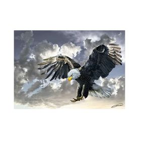 Art Puzzle 4167 Siyah Beyaz 500 Parça Puzzle