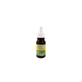 Artdeco 30ml Mürdüm Ebru Boyası