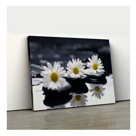 Arte P1101 Beyaz Papatyalar Kanvas Tablo