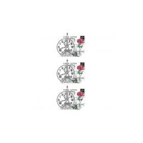 Artebella 10x25 cm 5652V Açık Zemin Home Design Kolay Transfer