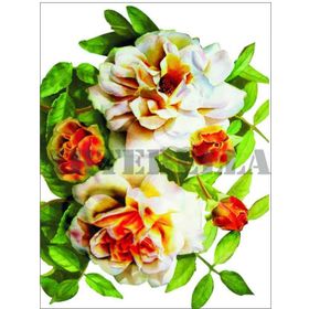 Artebella 1264V Küçük Kolay Transfer