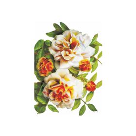 Artebella 1264V Küçük Kolay Transfer