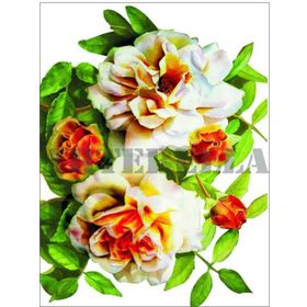 Artebella 1264V Küçük Kolay Transfer