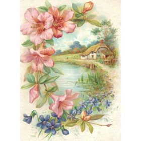 Artebella 1300V Açık Zemin 17x24 cm Küçük Kolay Transfer