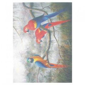 Artebella 1604K Koyu Zemin 35x50 cm Extra Büyük Kolay Transfer