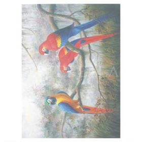 Artebella 1604K Koyu Zemin 35x50 cm Extra Büyük Kolay Transfer