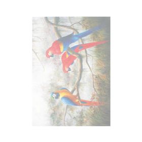 Artebella 1604K Koyu Zemin 35x50 cm Extra Büyük Kolay Transfer