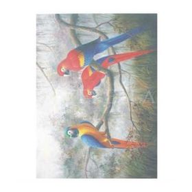 Artebella 1604K Koyu Zemin 35x50 cm Extra Büyük Kolay Transfer