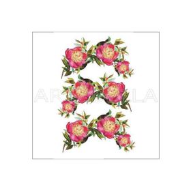 Artebella 1627V Açık Zemin 35x50 cm Extra Büyük Kolay Transfer