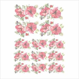 Artebella 1639K Koyu Zemin 35x50 cm Kolay Transfer