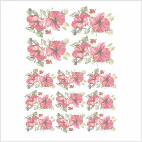 Artebella 1639K Koyu Zemin 35x50 cm Kolay Transfer